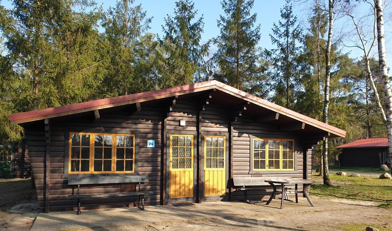 Bernsteinsee Ferienhauser Vila Sassenburg Exterior foto